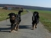spaziergang_kl