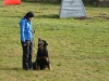 ambar3